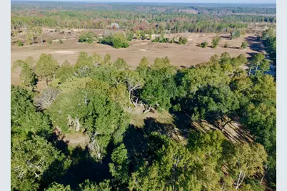 65 Acres Wagener Road, Aiken, SC 29801 - Photo 23