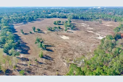 65 Acres Wagener Road, Aiken, SC 29801 - Photo 37