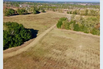 77 Acres Wagener Road, Aiken, SC 29801 - Photo 7