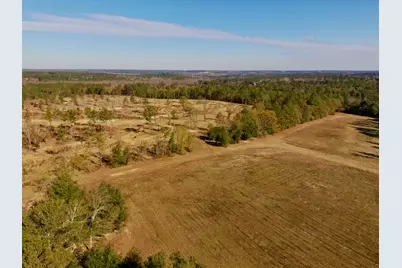 77 Acres Wagener Road, Aiken, SC 29801 - Photo 11