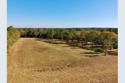 77 Acres Wagener Road, Aiken, SC 29801 - Photo 19