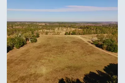 77 Acres Wagener Road, Aiken, SC 29801 - Photo 9