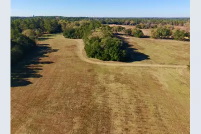 77 Acres Wagener Road, Aiken, SC 29801 - Photo 5