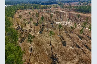 77 Acres Wagener Road, Aiken, SC 29801 - Photo 23