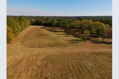 77 Acres Wagener Road, Aiken, SC 29801 - Photo 13