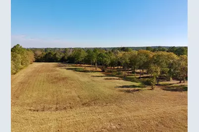 77 Acres Wagener Road, Aiken, SC 29801 - Photo 15