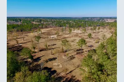77 Acres Wagener Road, Aiken, SC 29801 - Photo 21