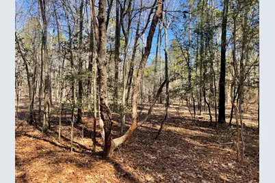 751 Old Kennel Road, Aiken, SC 29805 - Photo 3