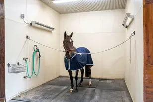 1029 Shell Bluff Dr, Aiken, SC 29803 - Photo 55