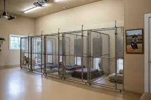 1029 Shell Bluff Dr, Aiken, SC 29803 - Photo 61