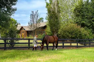 1029 Shell Bluff Dr, Aiken, SC 29803 - Photo 71