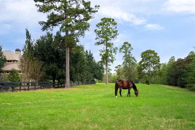 1029 Shell Bluff Drive, Aiken, SC 29803 - Photo 69