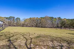 357 Collum Pond Rd, Wagener, SC 29164 - Photo 87