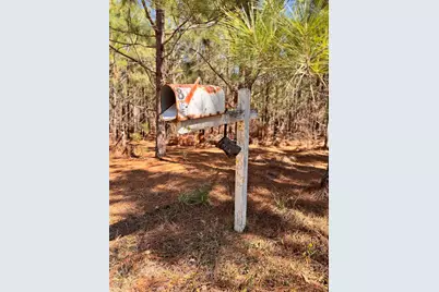 88.58 Acre Collum Pond Road, Wagener, SC 29164 - Photo 7