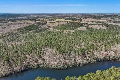 88.58 Acre Collum Pond Road, Wagener, SC 29164 - Photo 11