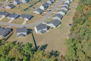 4201 Fringetree Loop, Aiken, SC 29803 - Photo 57