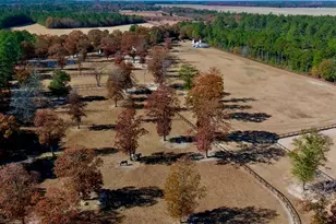 4886 Charleston Hwy, Williston, SC 29853 - Photo 65