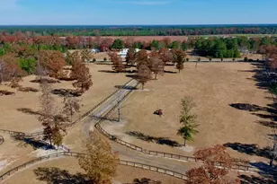 4886 Charleston Hwy, Williston, SC 29853 - Photo 91