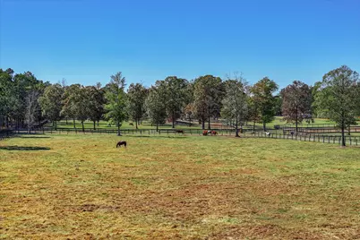 4886 Charleston Highway, Williston, SC 29853 - Photo 13