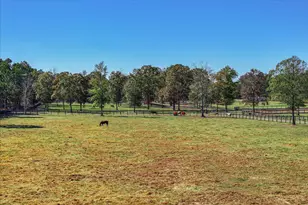 4886 Charleston Hwy, Williston, SC 29853 - Photo 13