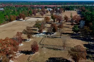 4886 Charleston Hwy, Williston, SC 29853 - Photo 85