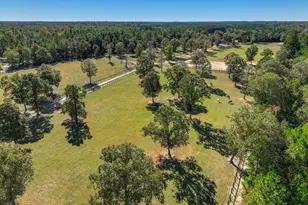 4886 Charleston Hwy, Williston, SC 29853 - Photo 59