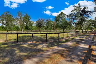 4886 Charleston Hwy, Williston, SC 29853 - Photo 53