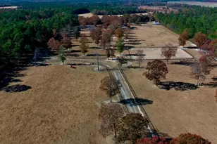 4886 Charleston Hwy, Williston, SC 29853 - Photo 87