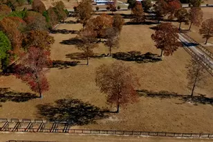 4886 Charleston Hwy, Williston, SC 29853 - Photo 93