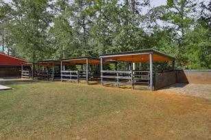 4886 Charleston Hwy, Williston, SC 29853 - Photo 39