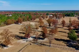 4886 Charleston Hwy, Williston, SC 29853 - Photo 13