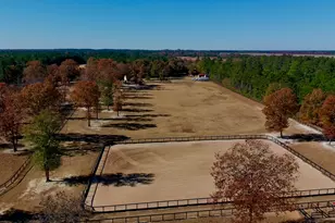 4886 Charleston Hwy, Williston, SC 29853 - Photo 93