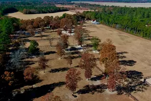 4886 Charleston Hwy, Williston, SC 29853 - Photo 95