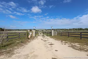 162 Wren Rd, Windsor, SC 29856 - Photo 3