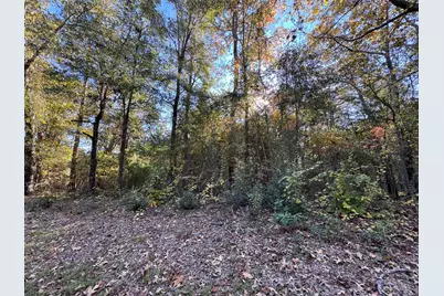 Lot #1 Charles Street, Jackson, SC 29831 - Photo 7