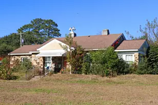 181 Louie St, Wagener, SC 29164 - Photo 3