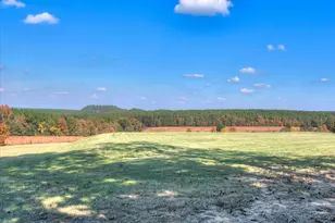 1591 Storm Branch Rd, Beech Island, SC 29842 - Photo 67