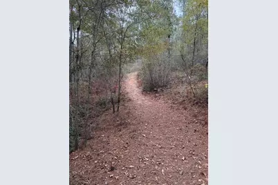 Lot 58 Lake Forest Lane, Aiken, SC 29803 - Photo 11