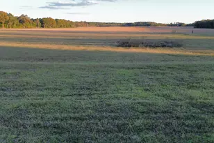 Tbd Binnicker Bridge Rd, Cope, SC 29038 - Photo 1