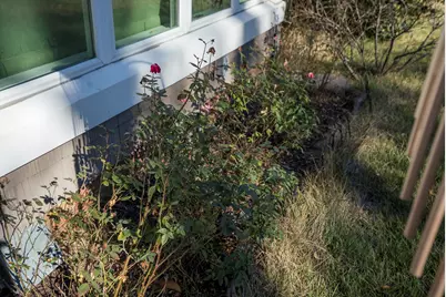 3311 Forest Drive, Aiken, SC 29801 - Photo 39