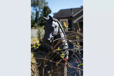 3311 Forest Drive, Aiken, SC 29801 - Photo 41
