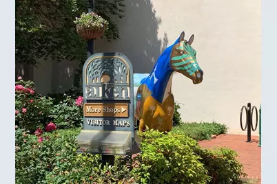 1029 Quaint Parish Circle, Graniteville, SC 29829 - Photo 37