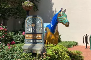 1029 Quaint Parish Cir, Graniteville, SC 29829 - Photo 37