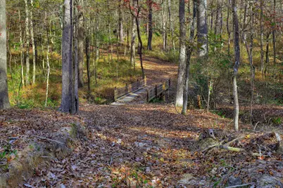 1066 Pine Point Lane, Lincolnton, GA 30817 - Photo 51