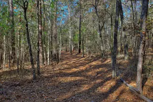 1066 Pine Point Ln, Lincolnton, GA 30817 - Photo 53