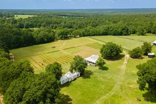 2300 Salley Rd, Salley, SC 29137 - Photo 95