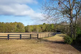 2300 Salley Rd, Salley, SC 29137 - Photo 81