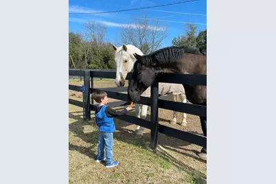 2300 Salley Road, Salley, SC 29137 - Photo 73