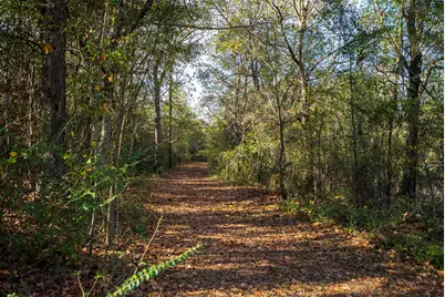2300 Salley Road, Salley, SC 29137 - Photo 97