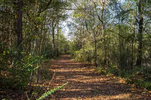 2300 Salley Rd, Salley, SC 29137 - Photo 97